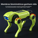 RoboDog DIY