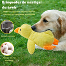 Pelúcia PET