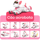 Cão Robô