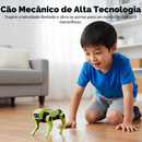 RoboDog DIY