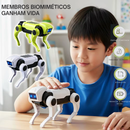 RoboDog DIY