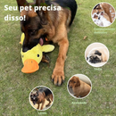 Pelúcia PET